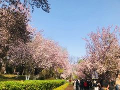 -元大都城垣遗址公园