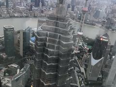 -上海柏悦酒店·世纪100牛排馆