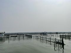 -阳澄湖半岛旅游度假区
