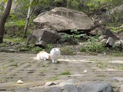 -北京凤凰岭