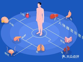三焦的生理特性 1上焦如雾 上焦如雾是指上焦主宣发卫