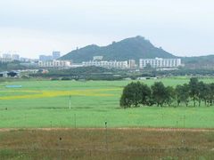 -光明小镇欢乐田园