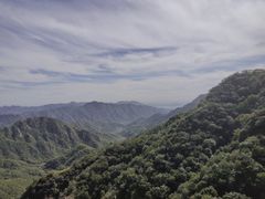 -大岭沟猕猴桃谷风景区