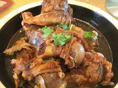 -真定郝家排骨(正定县总店)