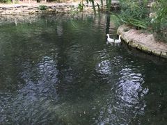 -水磨沟公园