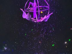 -广州长隆国际大马戏