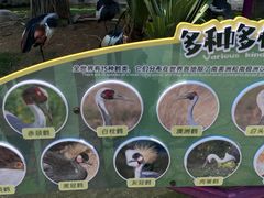 -灵玲国际马戏城