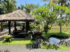 -Bebek Joni Restaurant