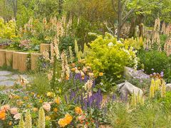 -东方体育中心(地铁站)