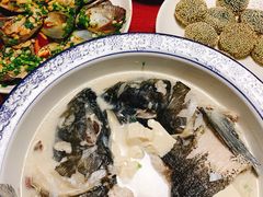 -全乐鱼馆·淳牌有机鱼直营店