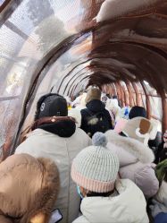 -大秃顶子山(雪谷店)