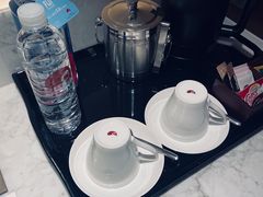 -广州白天鹅宾馆