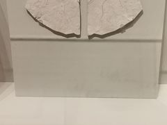-舟山博物馆