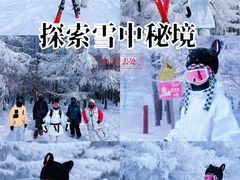 -密苑云顶乐园