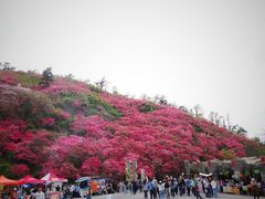 -木兰云雾山