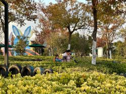 -季高兔窝窝亲子园(上海薰衣草公园店)