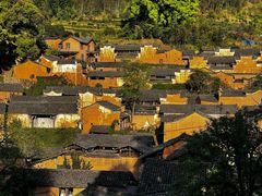 -杨家堂村