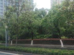 -万达广场(松江店)