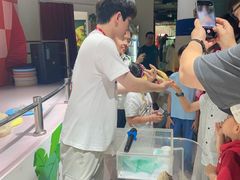 -上海大自然野生昆虫馆(东方明珠·爬宠昆虫探索中心)