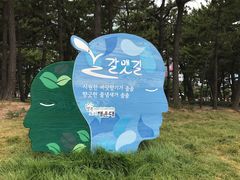 -海云台海滩