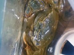 -阔澜蒸汽海鲜自助