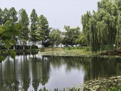 -金银湖国家城市湿地公园