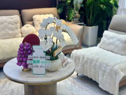 -洁铭新加坡医美