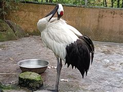-宁波野生动物园