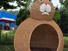 -西霞口神雕山野生动物世界