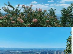 -杭州半山国家森林公园