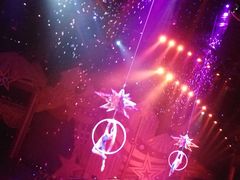 -珠海横琴长隆《卡卡虎奇遇记》