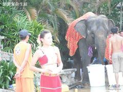 -珠海梦幻水城