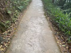 -广州市白云山风景名胜区
