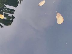 -西安市广仁寺
