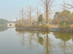 -成都南湖公园