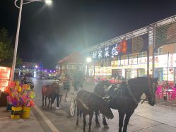 点击看大图 -凡碧诗毛孔清洁收细
