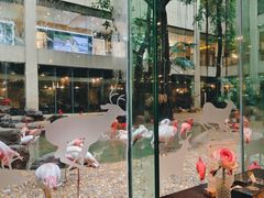 -白虎自助餐厅·真老虎·景观自助餐厅(广州长隆酒店)