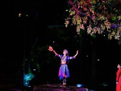 -三亚红色娘子军演艺公园景区