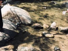 -碓臼峪自然风景区