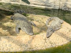 -石家庄市动物园