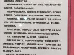 -上海外滩星空失恋减压馆(外滩旗舰馆)