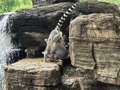 -秦皇岛野生动物园