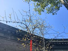 -天一阁博物院
