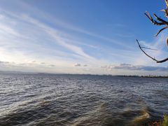-捞渔河湿地公园