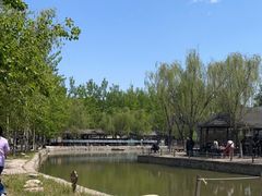 -杨柳青庄园