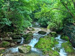 -本溪汤沟绿石谷森林公园