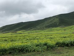 -扁都口生态休闲旅游区