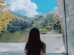 -知美术馆