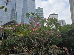 -吉隆坡国油双峰塔
