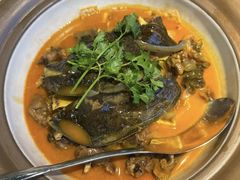 -洞庭家宴·头牌甲鱼(广渠门店)